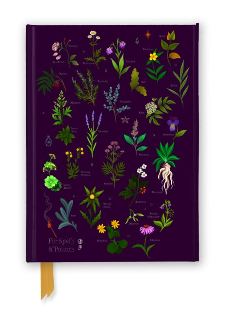 Anna Stead: For spells & Potions Foiled notebook